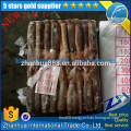 frozen whole round squid argentina calamary squid illex 400-600g